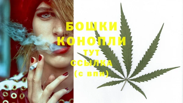 МДПВ Иннополис