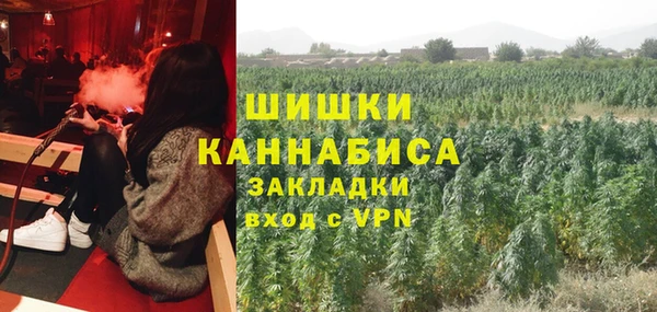 МДПВ Иннополис
