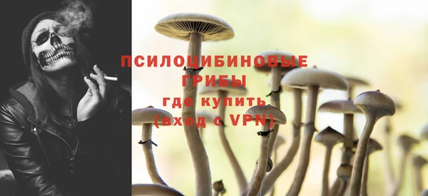 МДПВ Иннополис