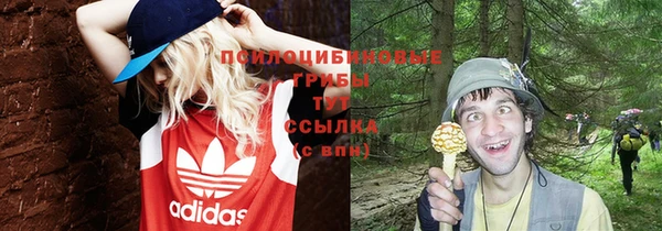 МДПВ Иннополис