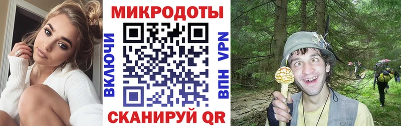 магазин  наркотиков  Волгодонск  Галлюциногенные грибы Psilocybine cubensis 