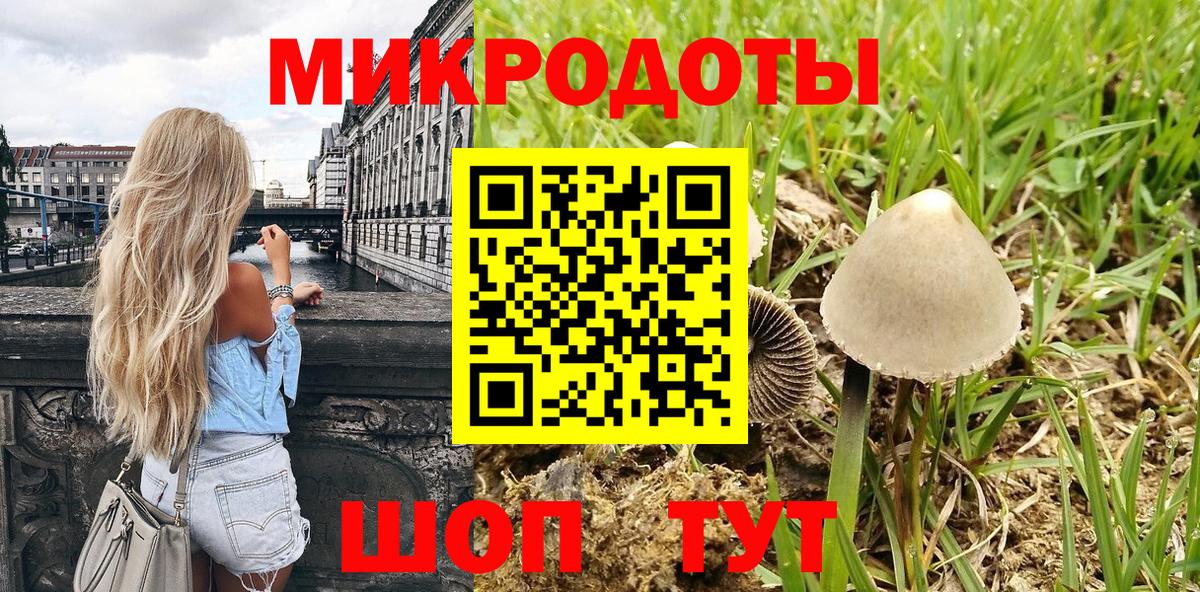 Галлюциногенные грибы Cubensis  Волгодонск  Псилоцибиновые грибы мицелий 