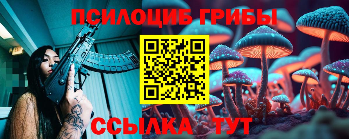 Волгодонск  где можно купить   Вход с VPN  Галлюциногенные грибы мицелий  Псилоцибиновые грибы Magic Shrooms 