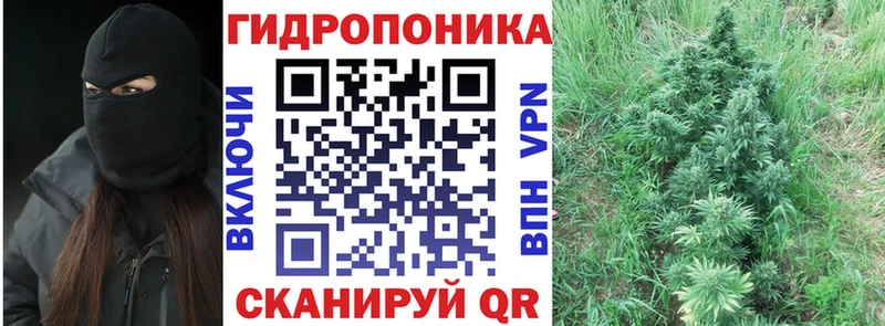 блэк спрут как войти  это как зайти  Каннабис AK-47  дарнет шоп  Волгодонск 